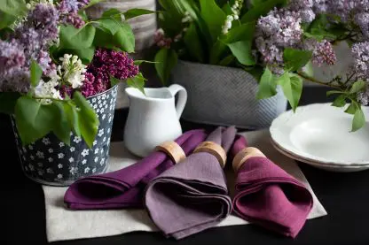 Napkins and Placemats | Purple and Violet - Image 13